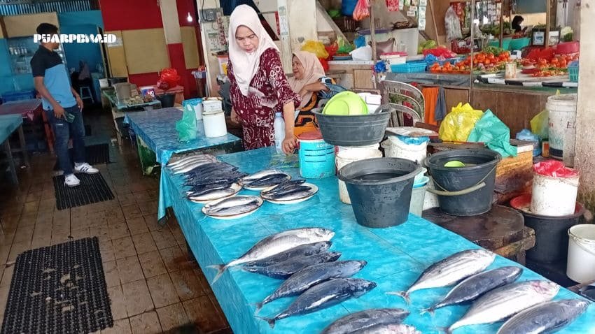 Masuk Musim Bulan Terang, Harga Cakalang di Ternate Mulai Naik