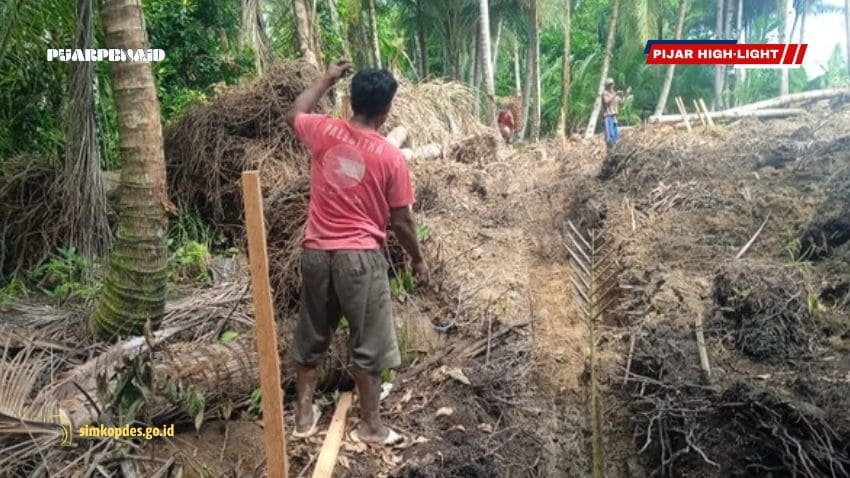 Pekerja membersihkan lahan hutan